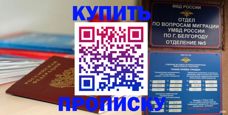 временная регистрация надежно в Ярославле